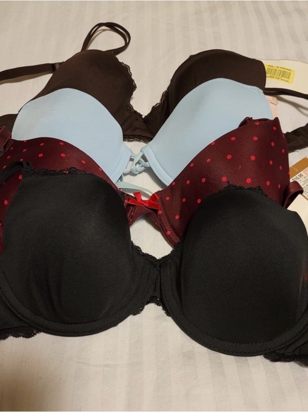 Macy's Assorted Bra Set - Black, Light Blue & Burgundy Polka Dot